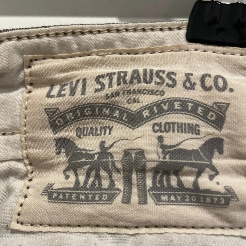 Levis levi strauss